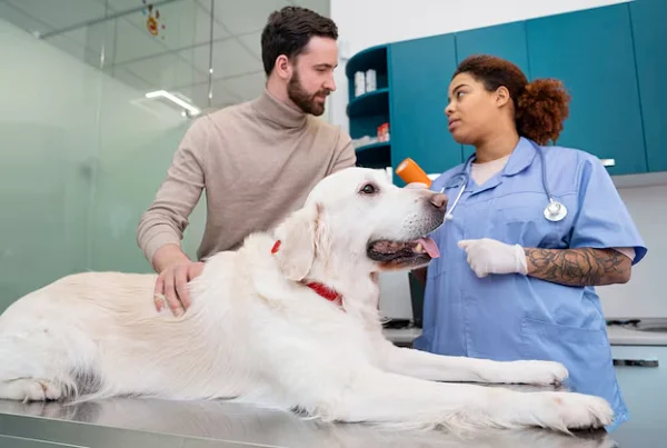 Pet Laparoscopy