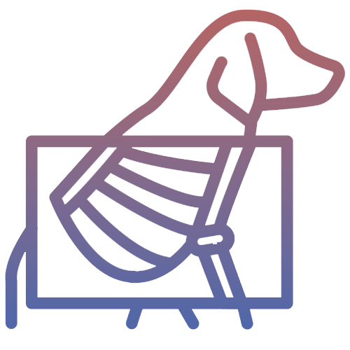 PET DIGITAL XRAY